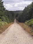 20190731_113749