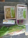 Picknick lunch en zowaar bio