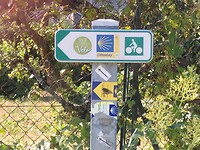 De juiste weg
