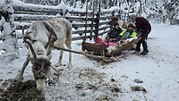 Getting ready for a reindeer ride