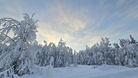 Die besneeuwde bomen blijven mooi😍