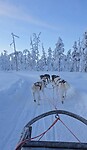 Onderweg tijdens de huskyrit