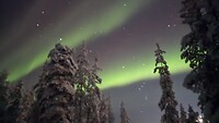 Noorderlicht in Lapland