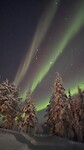 Noorderlicht in Lapland
