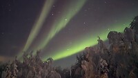 Noorderlicht in Lapland
