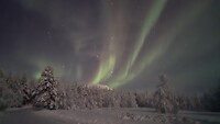 Noorderlicht in Lapland