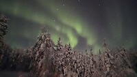 Noorderlicht in Lapland