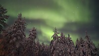 Noorderlicht in Lapland