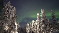 Noorderlicht in Lapland