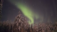 Noorderlicht in Lapland