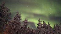 Noorderlicht in Lapland