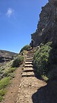 Trappen genoeg