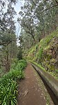 Levada Ribeira da Janela