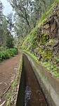 Levada Ribeira da Janela