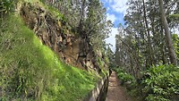 Levada Ribeira da Janela