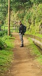 Levadahike PR15