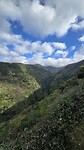Levada Nova