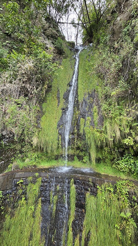 Warerval bij Levada Nova