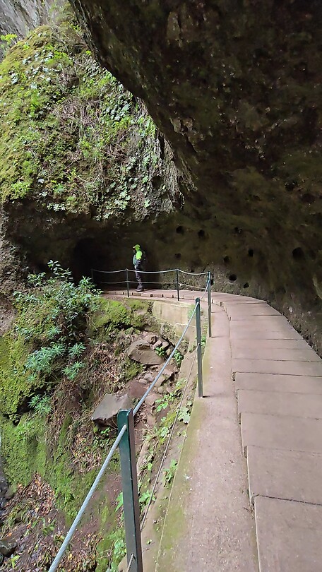 Levada Nova