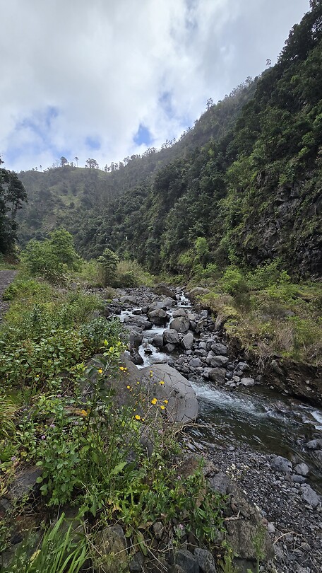 Terugweg op Levada Nova