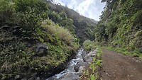 Terugweg Levada Nova