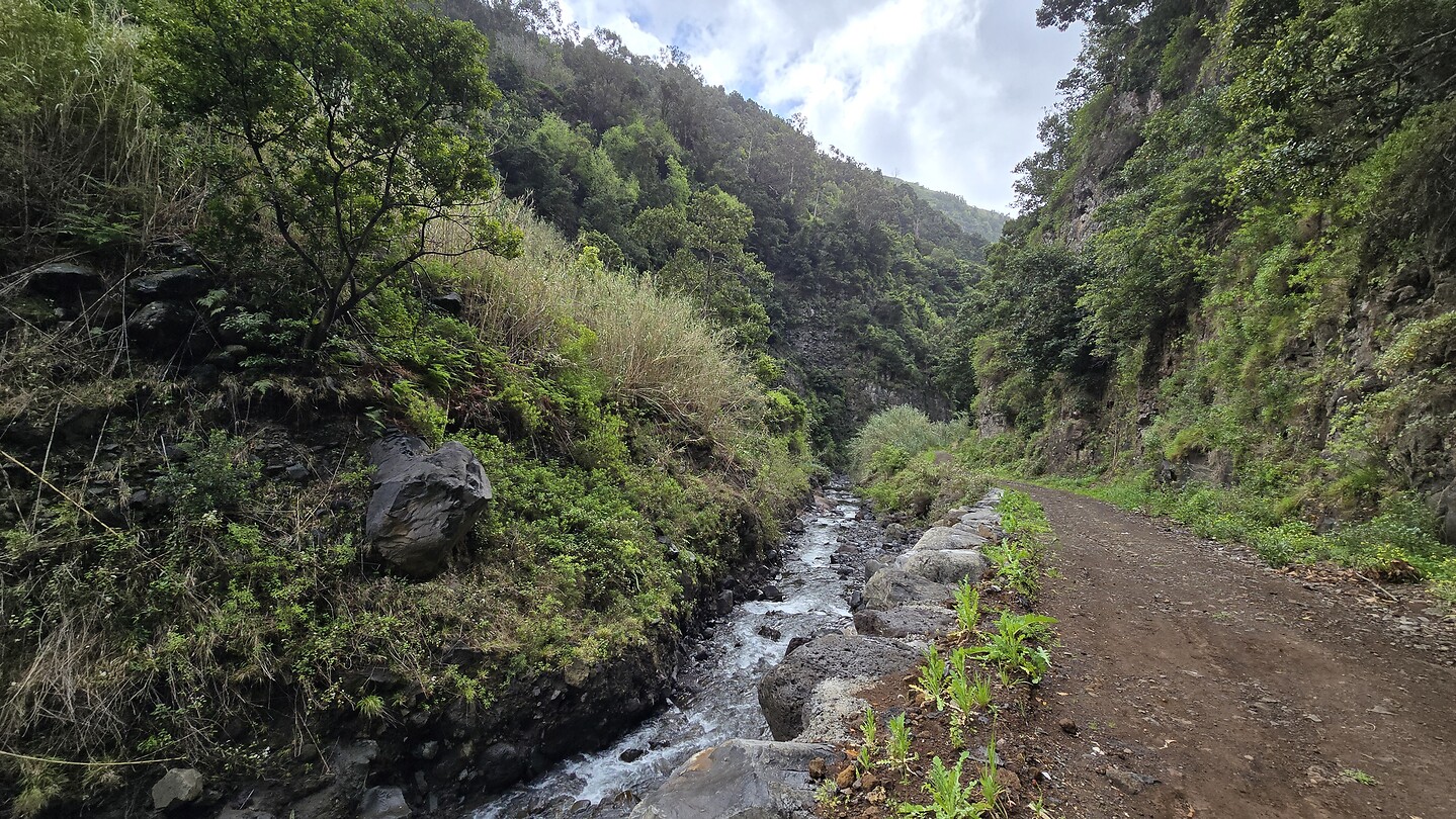 Terugweg Levada Nova