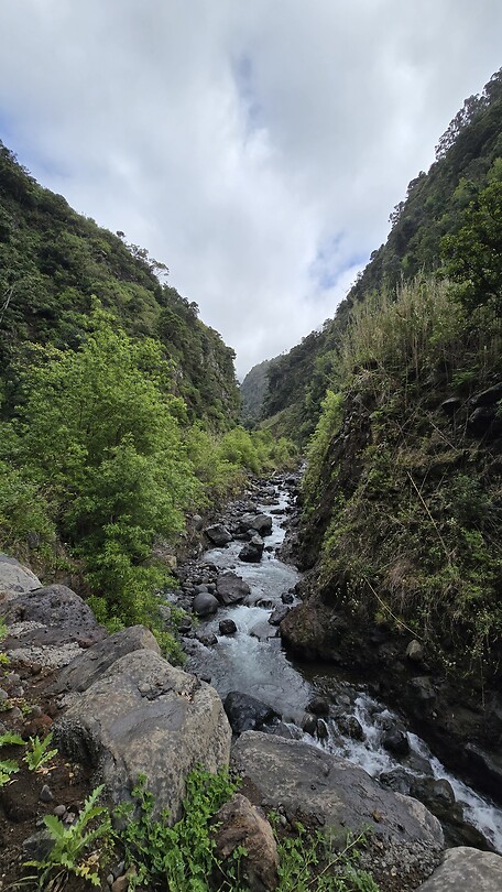 Terugweg Levada Nova