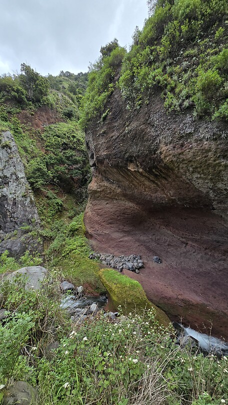 Terugweg Levada Nova