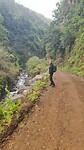 Op de terugweg Levada Nova