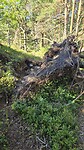 Sightseeing hardlooprondje kyststien Portør