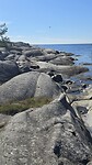 Sightseeing hardlooprondje kyststien Portør