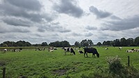 Natuurlijk genieten van de Hollandse natuurpracht