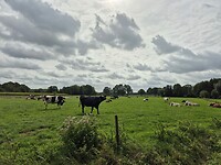 Natuurlijk nog meer Hollands Glorie