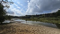Lunch in het bos