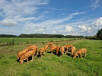 Genieten van de omgeving