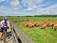 Prachtige scenery met hollands glorie