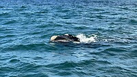IMG_1702