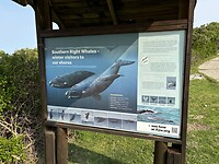 IMG_1677