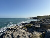 IMG_1631