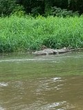 20140730_122009