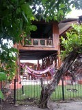 Tree house lodge in Samara