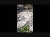 Boiling mud top...