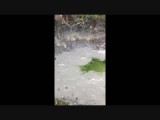 Groene lava modder