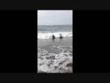 Surfin
