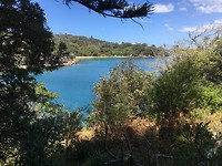 Prachtige stranden bij Manly