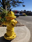 IMG_20180718_174756_Bokeh