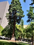 IMG_20180720_123123