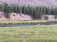 IMG_20180725_205557