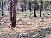 IMG_20180803_181615