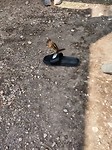 IMG_20180803_164827